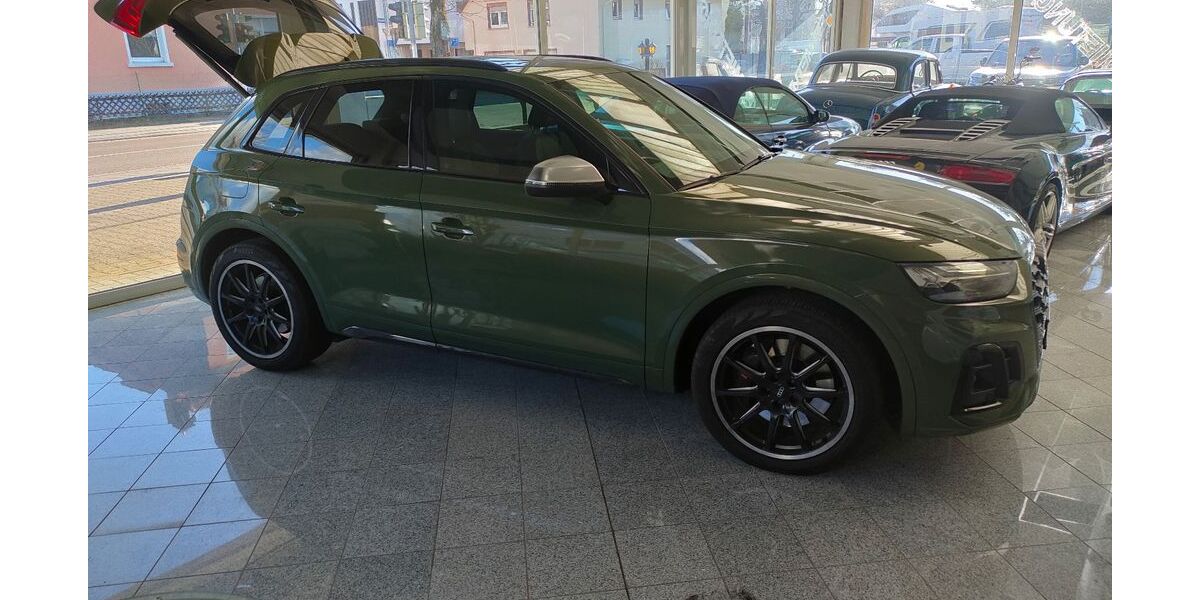 Audi SQ5 119.000 km 34.900 &euro; Baden Baden 76532