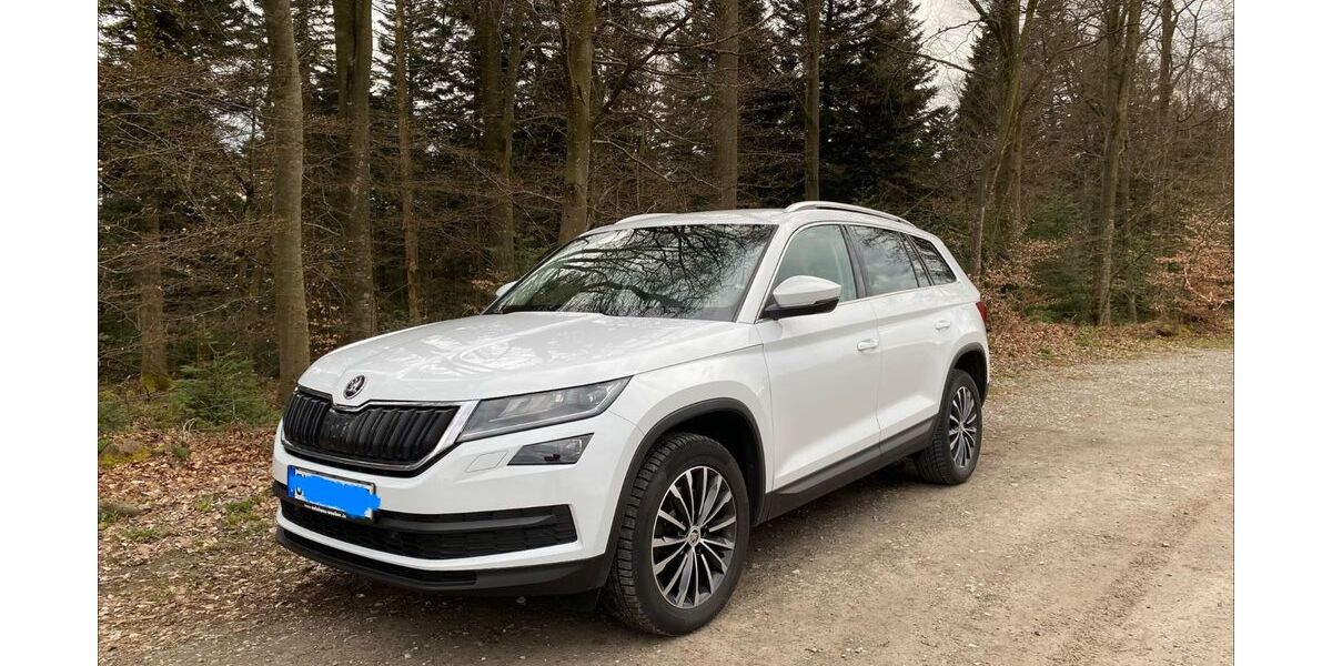 Skoda Kodiaq 136.000 km 22.900 &euro; Dobel 75335