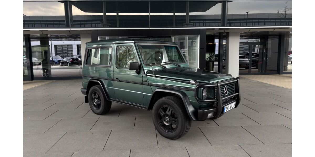 Mercedes-Benz G 230 231.500 km 33.500 &euro; Rheinstetten 76287