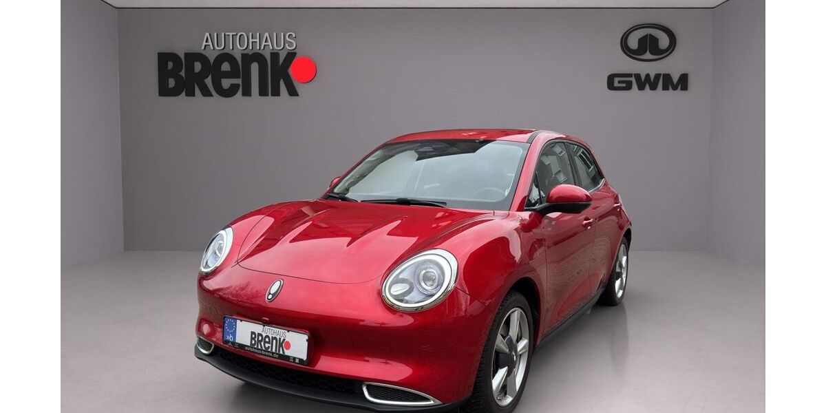 GWM Ora 03 23.250 km 17.450 &euro; Rastatt 76437