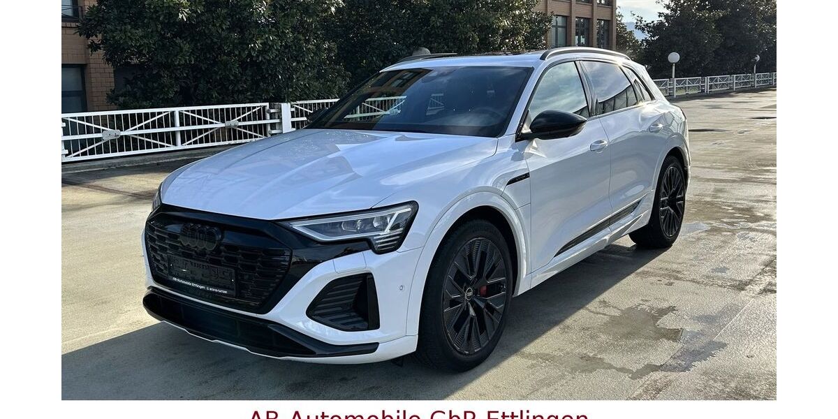 Audi Q8 e-tron 42.797 km 54.900 &euro; Ettlingen 76275