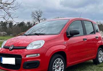 Fiat Panda 18.000 km 8.450 &euro; Hagenbach, Stadt 76767