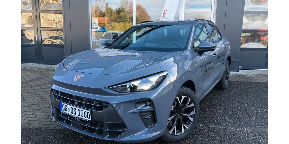 Cupra Terramar 9.800 km 44.380 &euro; Achern 77855